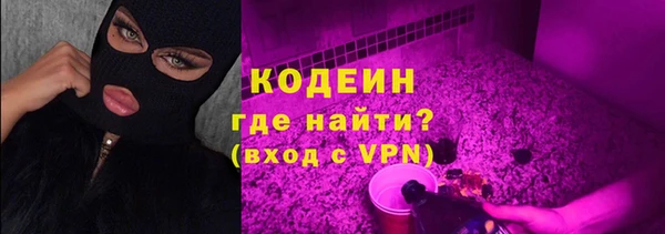 СК Кодинск